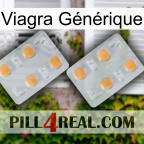 Viagra Générique 25